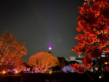 NAKED 桜の新宿御苑 2023に投稿された画像（2023/4/10）