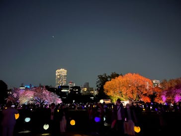 NAKED 桜の新宿御苑 2023に投稿された画像（2023/4/10）