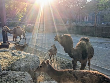 群馬サファリパークに投稿された画像（2023/4/9）