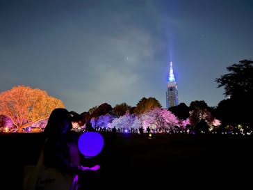 NAKED 桜の新宿御苑 2023に投稿された画像（2023/4/10）