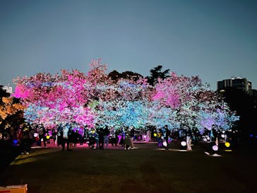 NAKED 桜の新宿御苑 2023に投稿された画像（2023/4/10）