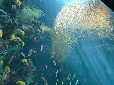 環境水族館アクアマリンふくしまに投稿された画像（2023/4/10）