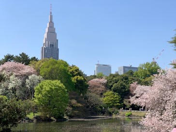 新宿御苑に投稿された画像（2023/4/10）