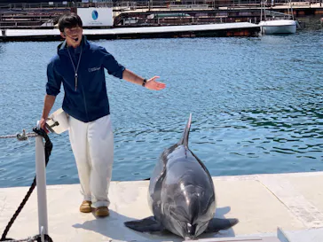 うみたま体験パーク 「つくみイルカ島」に投稿された画像（2023/4/10）