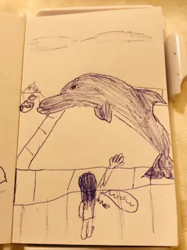 うみたま体験パーク 「つくみイルカ島」に投稿された画像（2023/4/10）