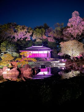 『NAKED FLOWERS 2023 桜 世界遺産・二条城』に投稿された画像（2023/4/10）