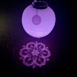 NAKED 桜の新宿御苑 2023に投稿された画像（2023/4/11）