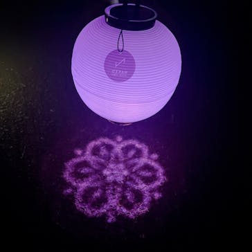 NAKED 桜の新宿御苑 2023に投稿された画像（2023/4/10）