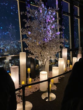 東京タワーに投稿された画像（2023/4/10）