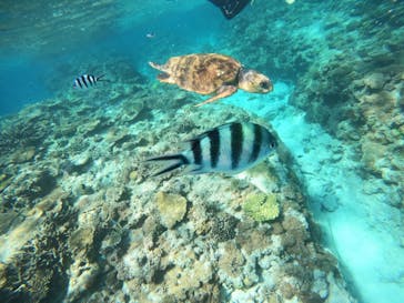 Sea World（シーワールド）に投稿された画像（2023/4/10）