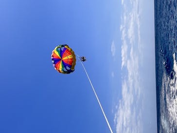 Sea World（シーワールド）に投稿された画像（2023/4/10）