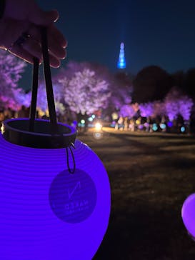 NAKED 桜の新宿御苑 2023に投稿された画像（2023/4/10）