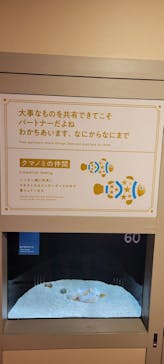 横浜開運水族館 フォーチュンアクアリウムに投稿された画像（2023/4/10）