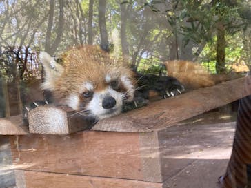 長崎バイオパークに投稿された画像（2023/4/11）