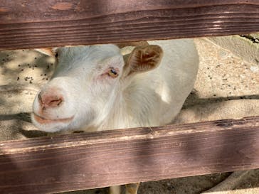 長崎バイオパークに投稿された画像（2023/4/11）