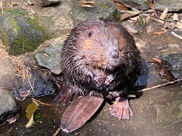 長崎バイオパークに投稿された画像（2023/4/11）