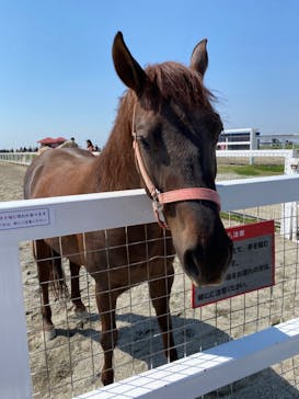 ワールド牧場に投稿された画像（2023/4/11）