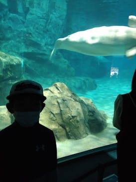 名古屋港水族館に投稿された画像（2023/4/11）