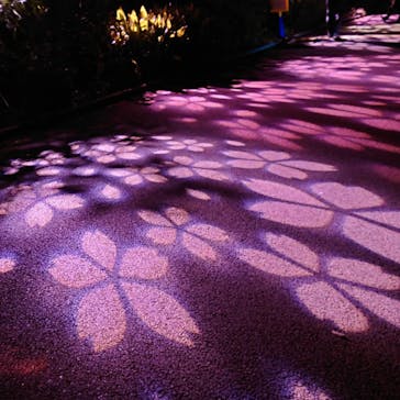 NAKED 桜の新宿御苑 2023に投稿された画像（2023/4/11）