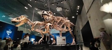 特別展「恐竜博2023」に投稿された画像（2023/4/11）