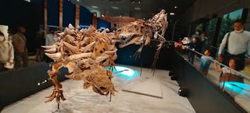 特別展「恐竜博2023」に投稿された画像（2023/4/11）