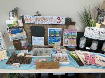 しながわ水族館に投稿された画像（2023/4/11）