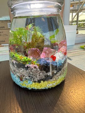 しながわ水族館に投稿された画像（2023/4/11）