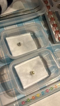 しながわ水族館に投稿された画像（2023/4/11）