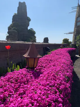 ひらかたパークに投稿された画像（2023/4/11）