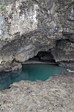 スローダイブ石垣島に投稿された画像（2023/4/11）