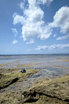 スローダイブ石垣島に投稿された画像（2023/4/11）