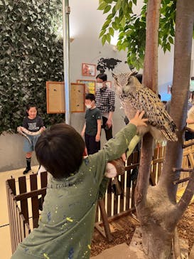 Moff animal cafe イオンモール幕張新都心店に投稿された画像（2023/4/11）