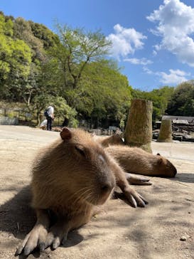 長崎バイオパークに投稿された画像（2023/4/11）