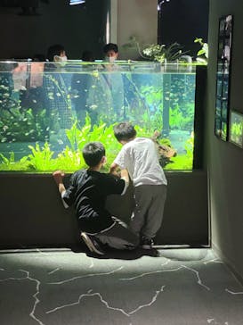 カワスイ 川崎⽔族館に投稿された画像（2023/4/11）