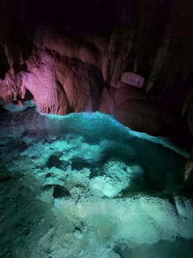 おきなわワールドに投稿された画像（2023/4/11）