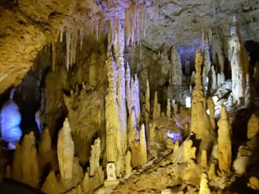 おきなわワールドに投稿された画像（2023/4/11）