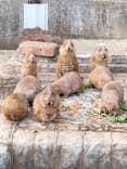伊豆シャボテン動物公園に投稿された画像（2023/4/11）