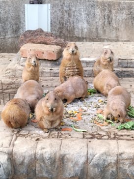 伊豆シャボテン動物公園に投稿された画像（2023/4/11）