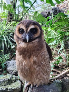 伊豆シャボテン動物公園に投稿された画像（2023/4/11）