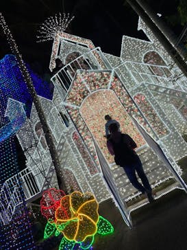 美らヤシパークオキナワ・東南植物楽園に投稿された画像（2023/4/11）