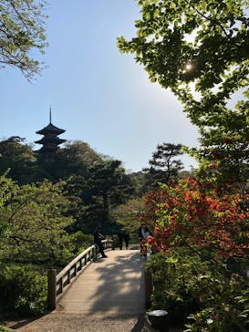 三溪園に投稿された画像（2023/4/11）