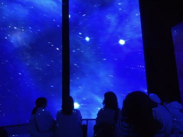 ゴッホ・アライブ神戸に投稿された画像（2023/4/11）