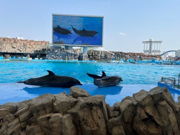 名古屋港水族館に投稿された画像（2023/4/11）