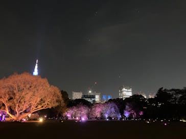 NAKED 桜の新宿御苑 2023に投稿された画像（2023/4/11）