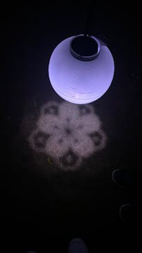 NAKED 桜の新宿御苑 2023に投稿された画像（2023/4/11）