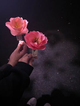 NAKED 桜の新宿御苑 2023に投稿された画像（2023/4/11）