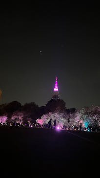 NAKED 桜の新宿御苑 2023に投稿された画像（2023/4/11）