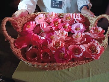 NAKED 桜の新宿御苑 2023に投稿された画像（2023/4/11）