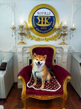 箱根海賊船に投稿された画像（2023/4/11）