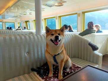 箱根海賊船に投稿された画像（2023/4/11）